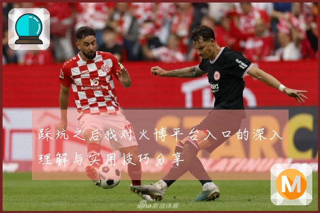 踩坑之后我对火博平台入口的深入理解与实用技巧分享